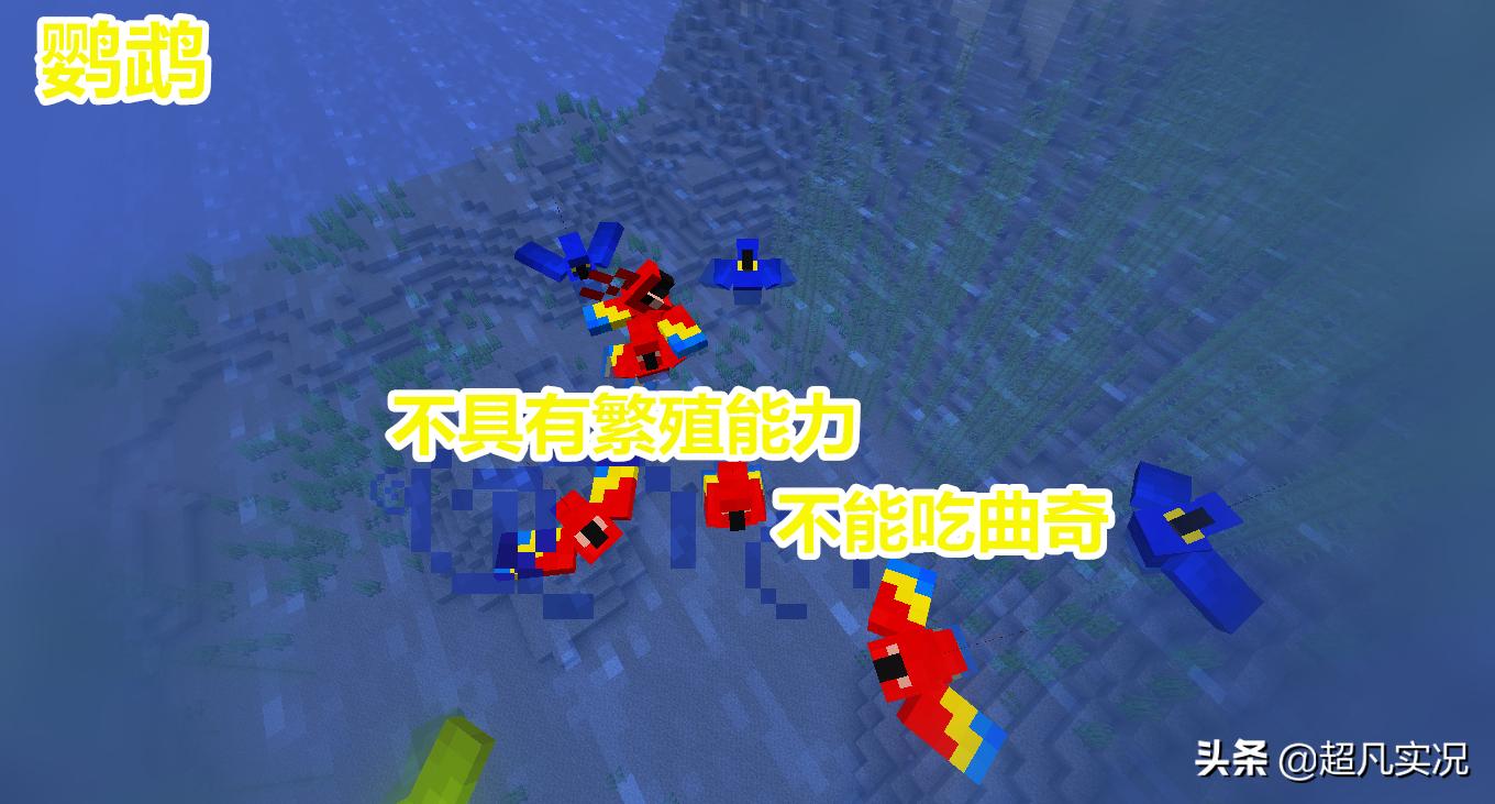 我的世界哪些动物可以驯服当宠物,我的世界有哪些动物可以繁育