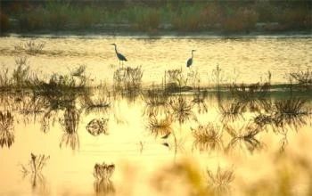 让你流连忘返的景点,东港市美景