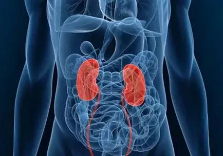 郝万山讲恐伤肾吃什么药,郝万山讲肾引起的腹水