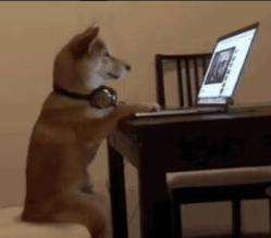 剑桥大学开学时间,英国剑桥大学开学时间