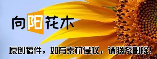 国足浑身纹身,国足遮挡纹身