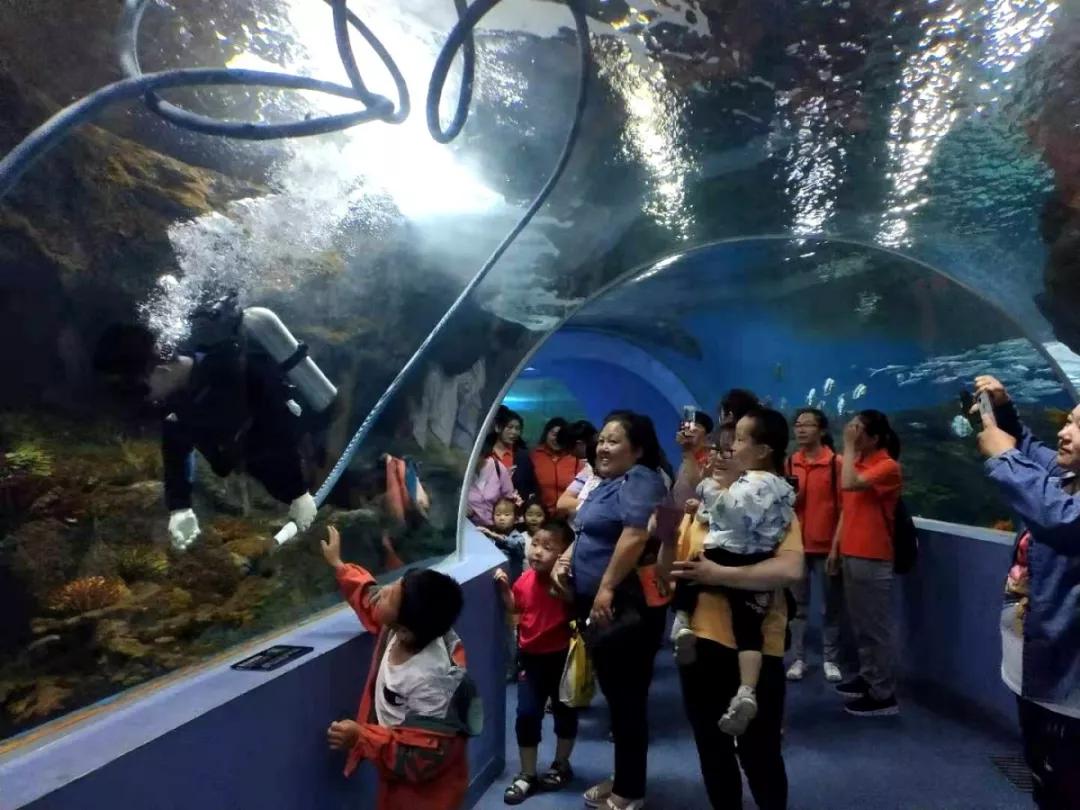 海底世界搬到自己家,海底世界聊城入园