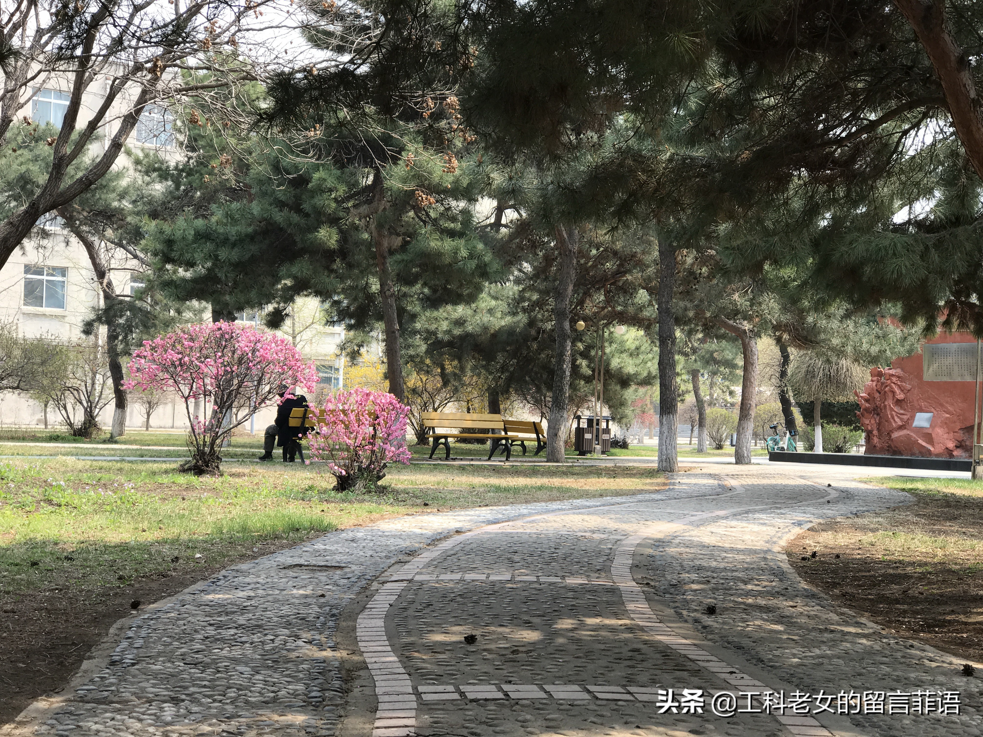 带你领略自然美,带你领略春天独有的浪漫