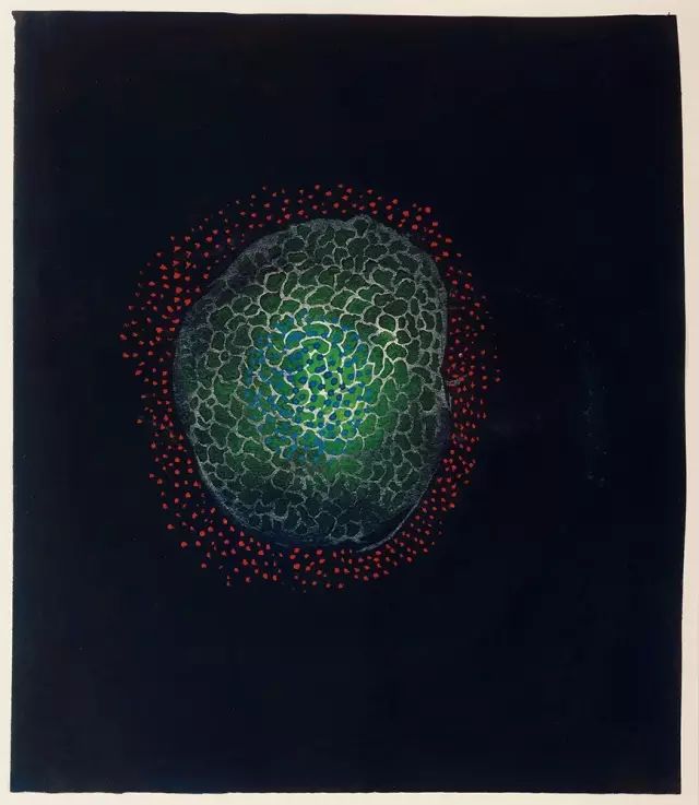 住了50年精神病院，一幅画却能卖2亿的日本国宝级画家：草间弥生