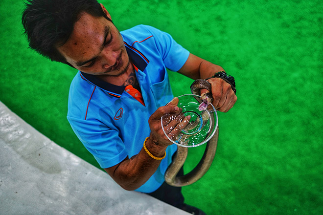 普吉岛跟团游全攻略,普吉岛跟团游省钱吗