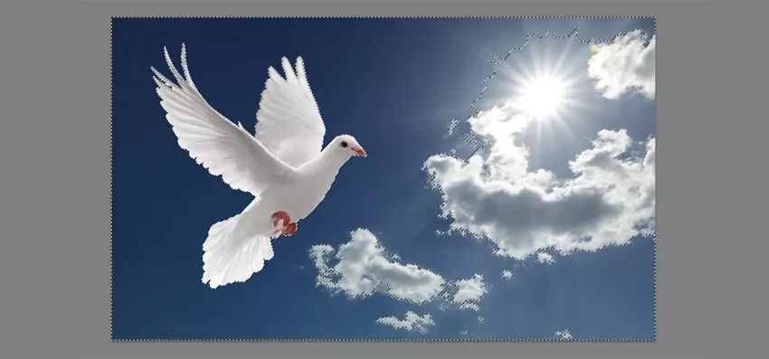 ps花仙子合成教程,ps合成狗狗教程