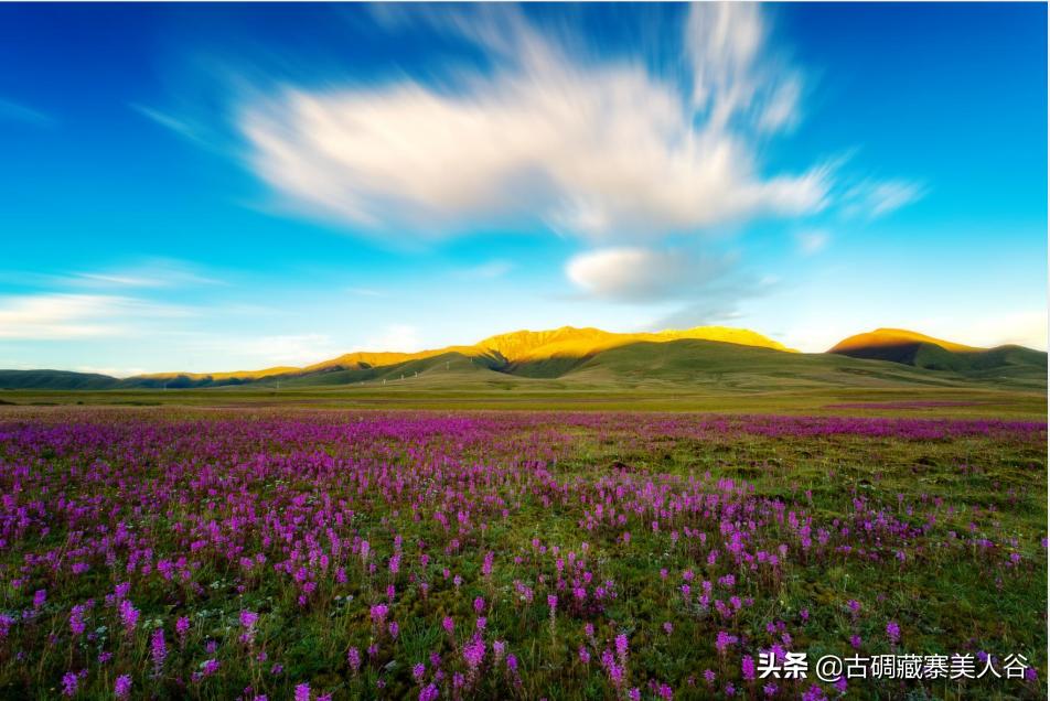 养在深闺的天然氧吧,养在深闺人未识的景区