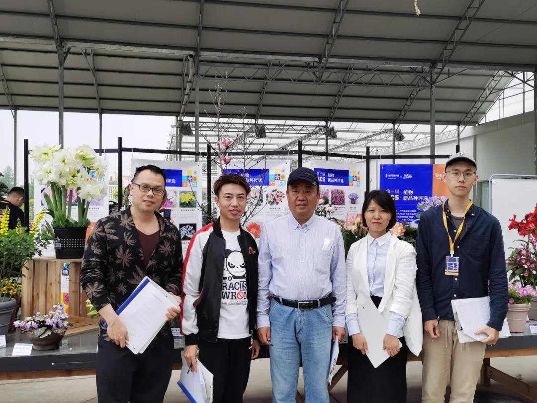 这43个来自世界各地的新品种，快来看看有没有你的菜