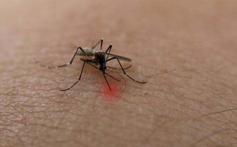 人类中的头号杀手,人类健康头号杀手是什么