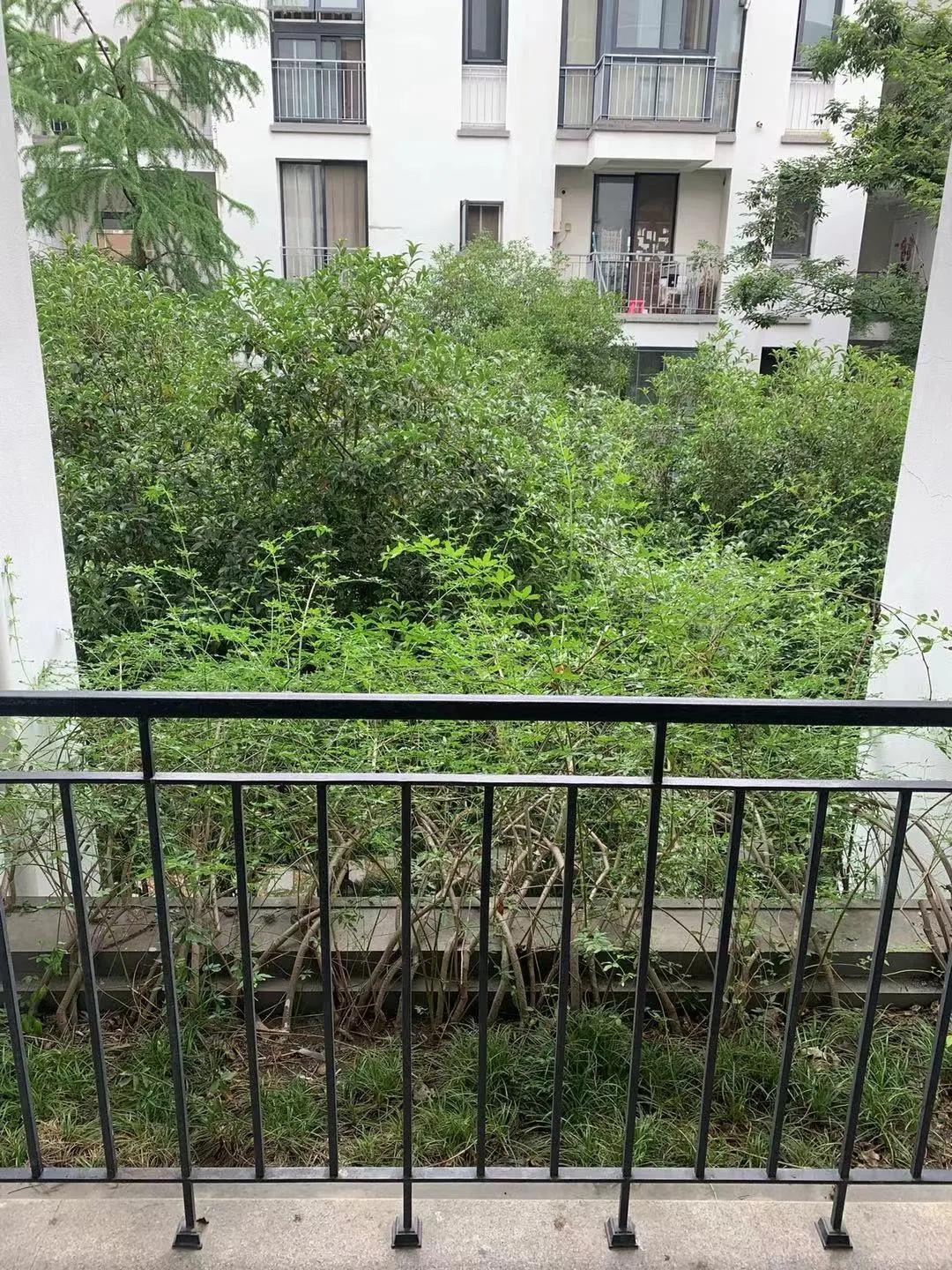 房住不炒二手房,房住不炒小产权房