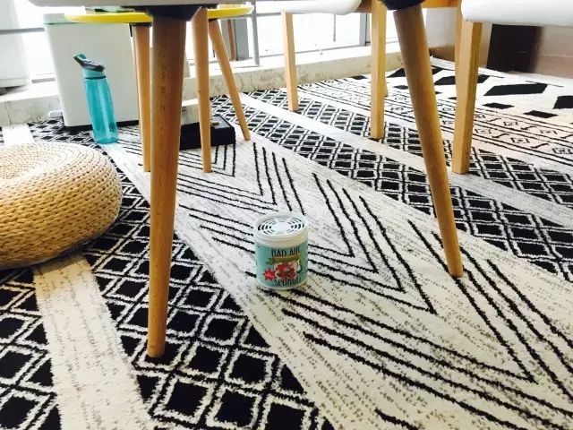 德国十大品牌的空气净化器,大自然的空气净化器