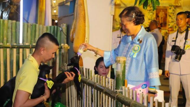 泰国64岁诗琳通公主心脏不适，暂定工作入院治疗，暂不需要手术