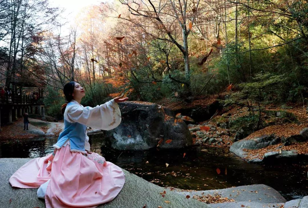 这款小LED灯火了！为何它是摄影师的最爱？