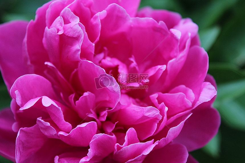 高考文言文实词高频知识手册,高考文言实词易错考点归纳