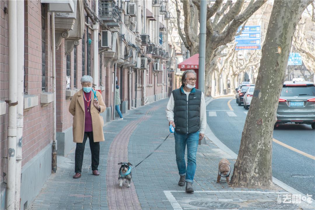 上海国庆小众旅行攻略路线图,上海出发国庆旅游攻略推荐