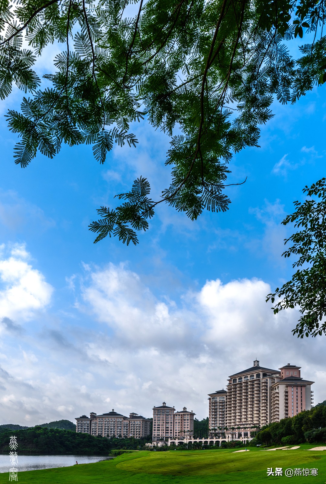 说说我用过的那些相机和镜头（3）：尼康篇