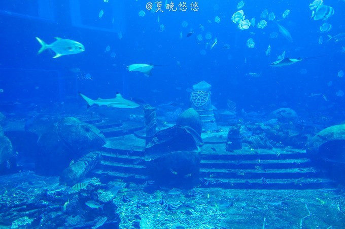 七星级酒店亚特兰蒂斯,三亚七星级酒店亚特兰蒂斯门票