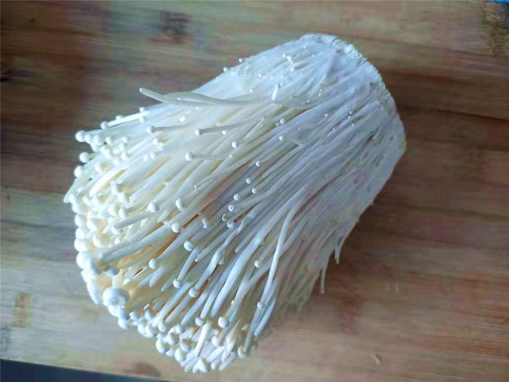 麻辣金针菇做法不辣还好吃,麻辣金针菇怎么做好吃又简单视频