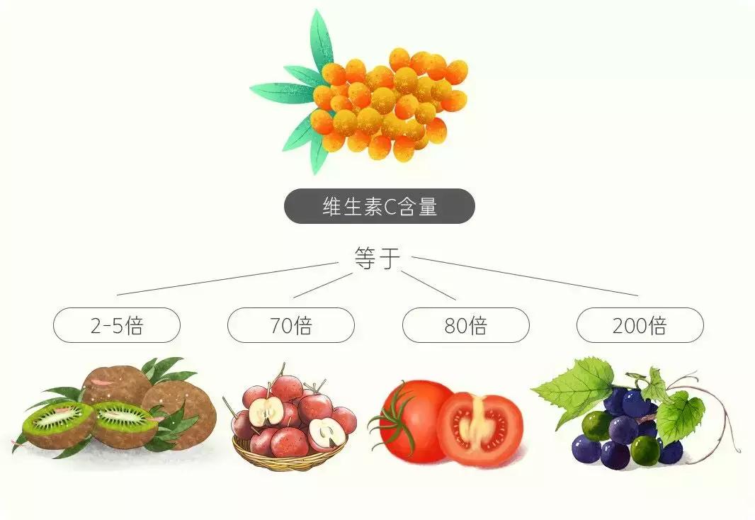 沙棘的营养让人吃惊,马云说沙棘的功效和作用有哪些