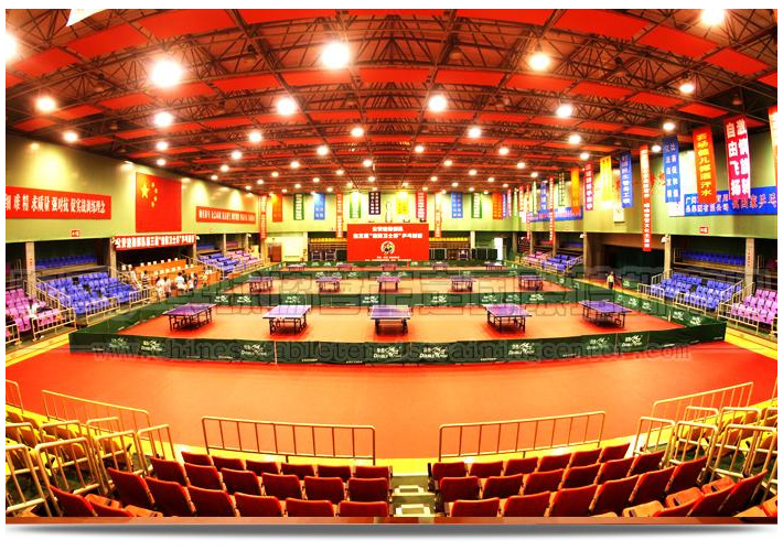 厦门和正定,八竿子打不着的南北双城,竟是国乒无敌的力量源泉?