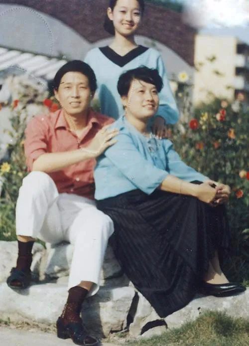 马伊琍的情感录,马伊琍人设危机完整版