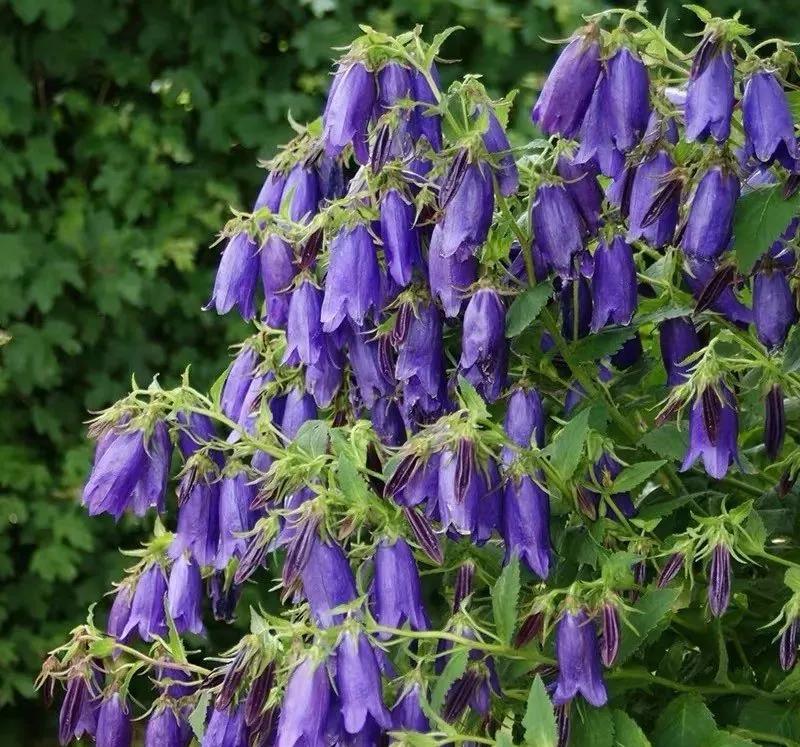 做好这三点你才能成事,做好这三点淡斑效果翻倍