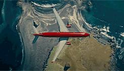 北海布氏鲸视频,广西北海布氏鲸图片