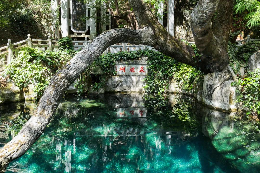 隐居南山深度解析,中国最适合隐居的山是哪座山