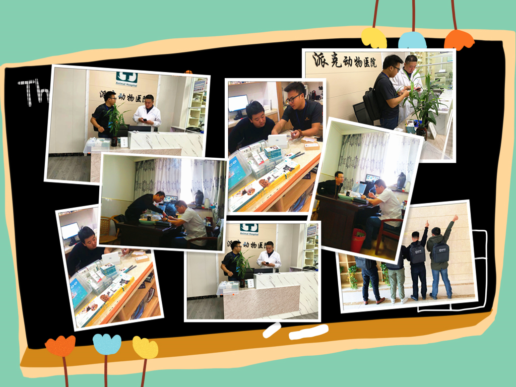 常州哪里有24h宠物医院,常州市武进区大型宠物医院