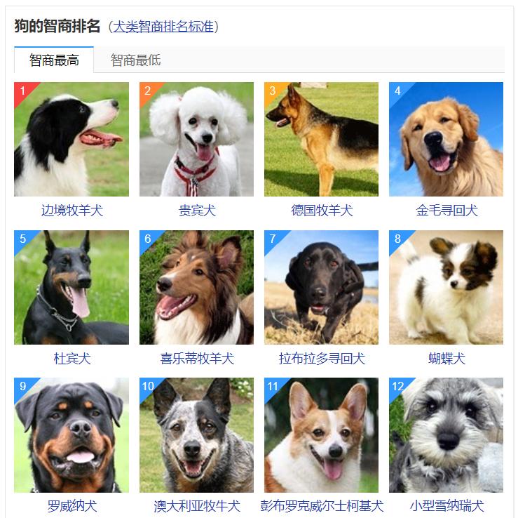 人类为什么要受到法律的约束,人类为什么让动物买单