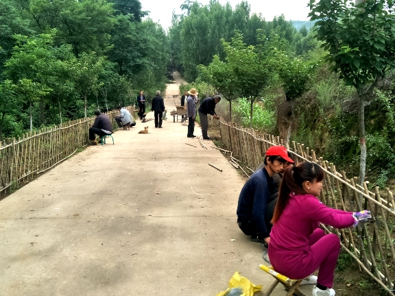 美丽乡村阿庄图片,铜川市美丽乡村名单