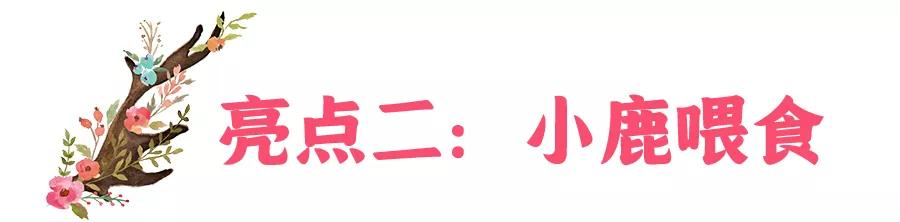 东南花都花博园全新升级鹿岛公园,东南花都花博园导览图
