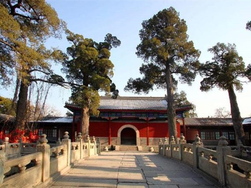 清朝太监老了怎么养老,失去劳动能力的老人怎么生活