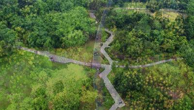 双流美丽公园城市,成都双流湿地公园美景