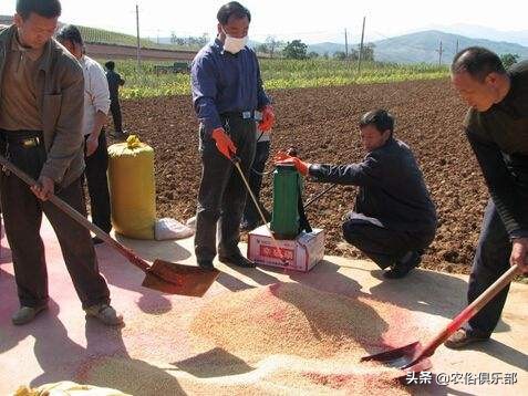 烧秸秆禁令原视频,秸秆禁烧禁抛的通告