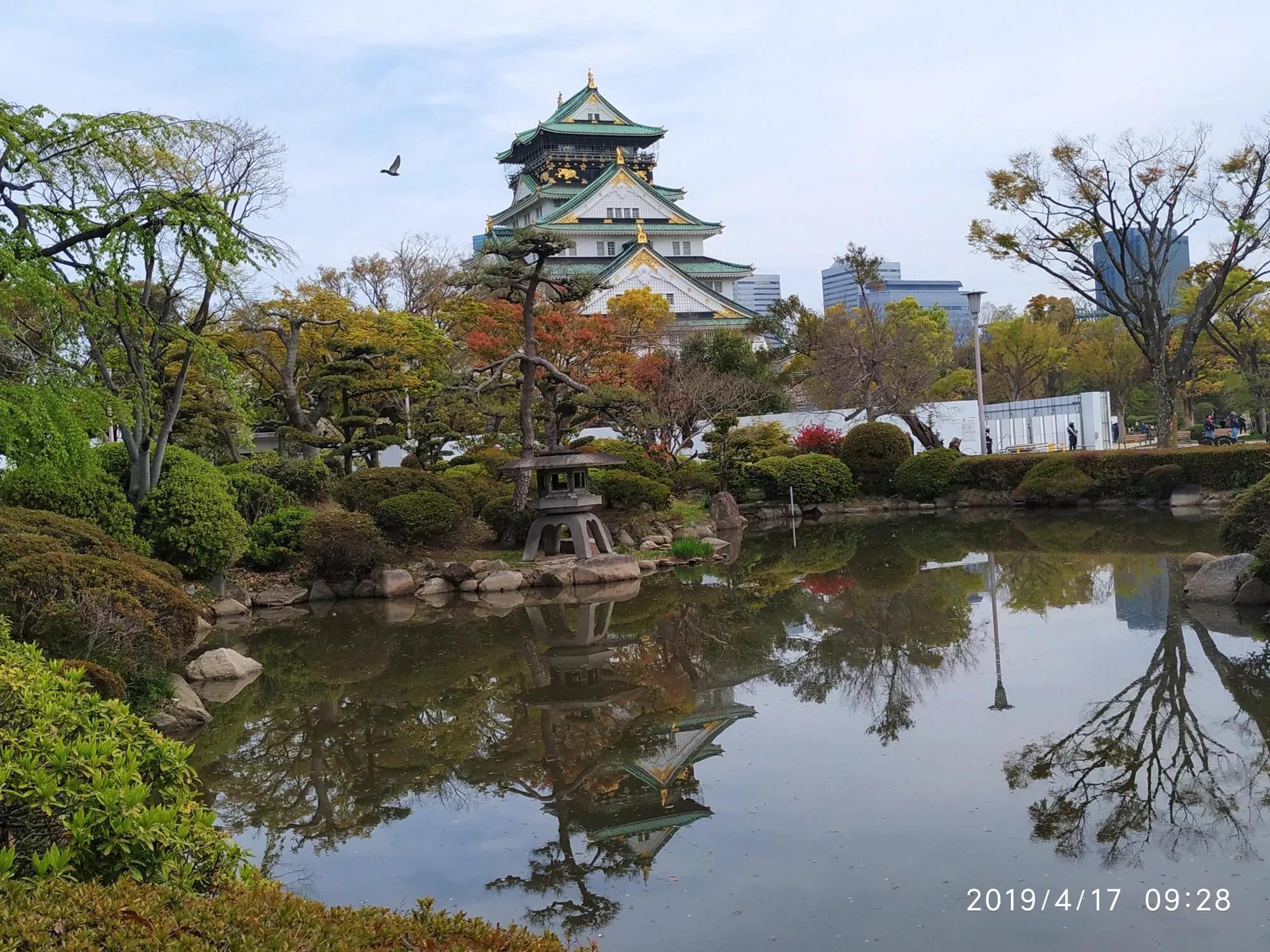 浪漫樱花日本进口,浪漫樱花2完整版