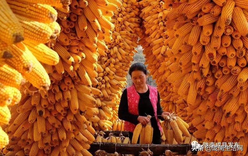 我叫成县，这是我2019年的自拍照