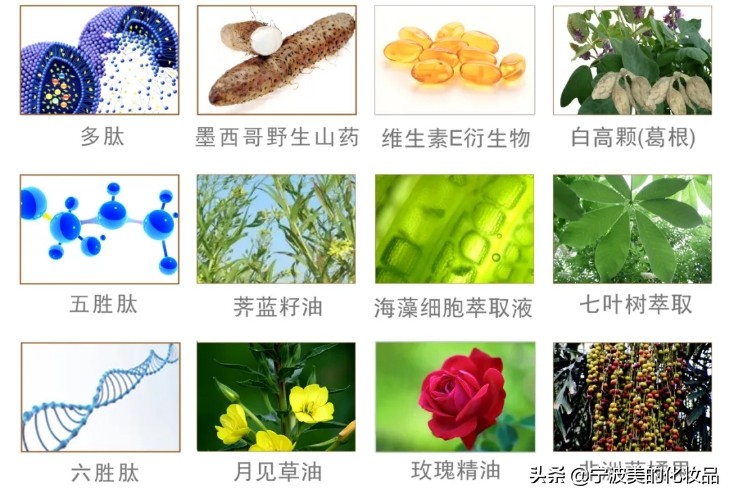 护肤品中关于各种肽的认知,肽类护肤品主要功效是什么