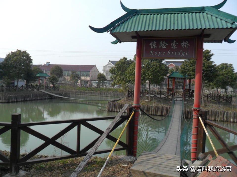 上海马陆葡萄园自由采摘,上海葡萄采摘好去处