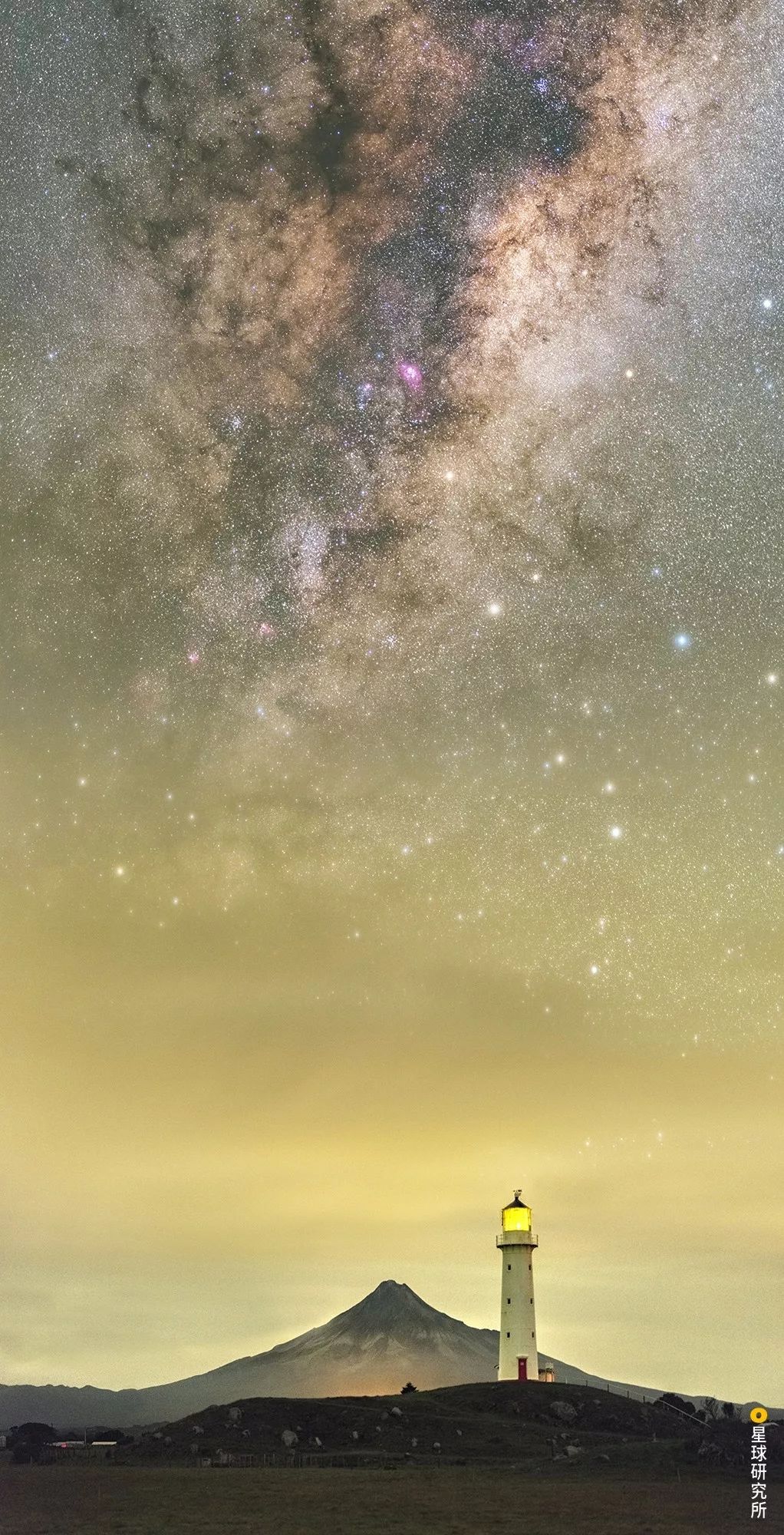 新西兰为什么那么发达,新西兰为什么这么牛