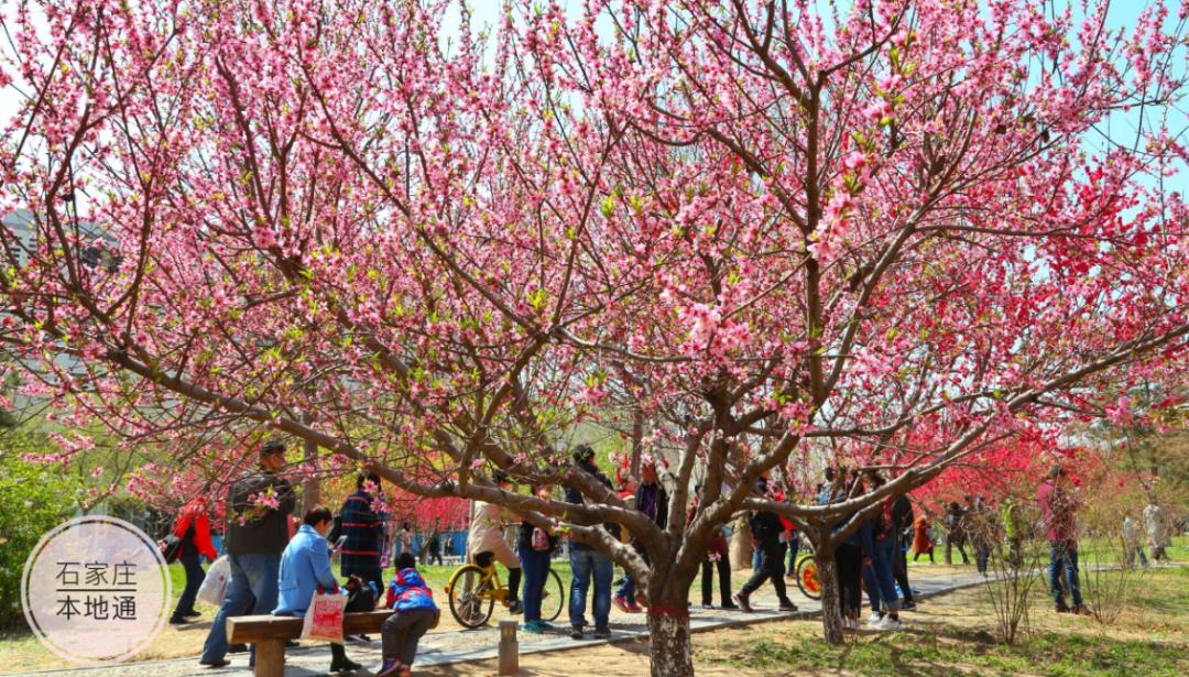 河北科技大学最牛考研,河北科技大学很牛吗
