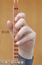 二胡b调把位图教学讲解,二胡排调从低到高