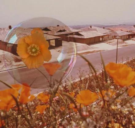 零成本适合下班后做的兼职副业,适合女生的副业兼职做什么好呢