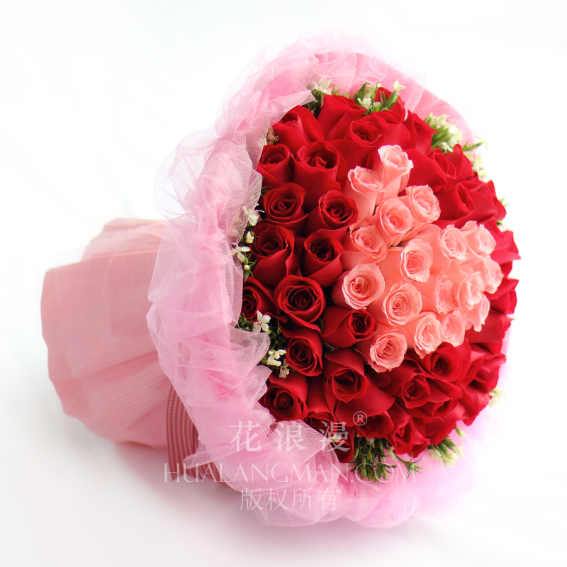 红玫瑰送朋友花语是什么,红玫瑰花语代表什么意思