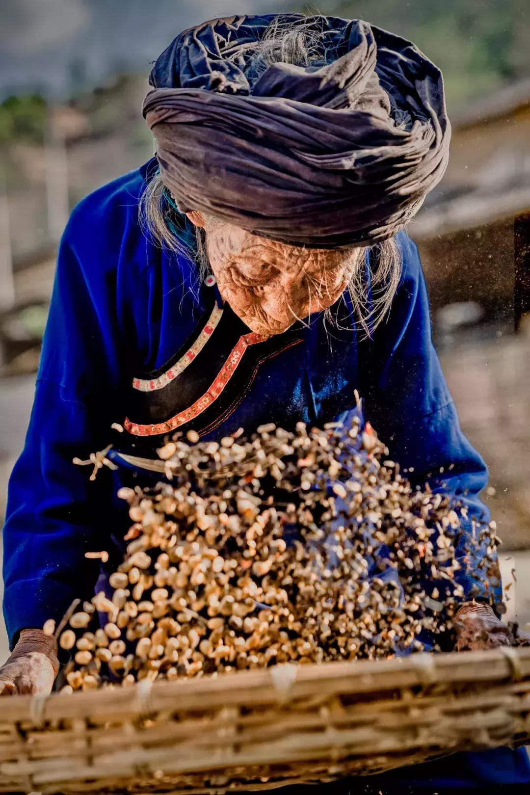 为云南咖农创收，拼多多开启了全新的互联网扶贫格局