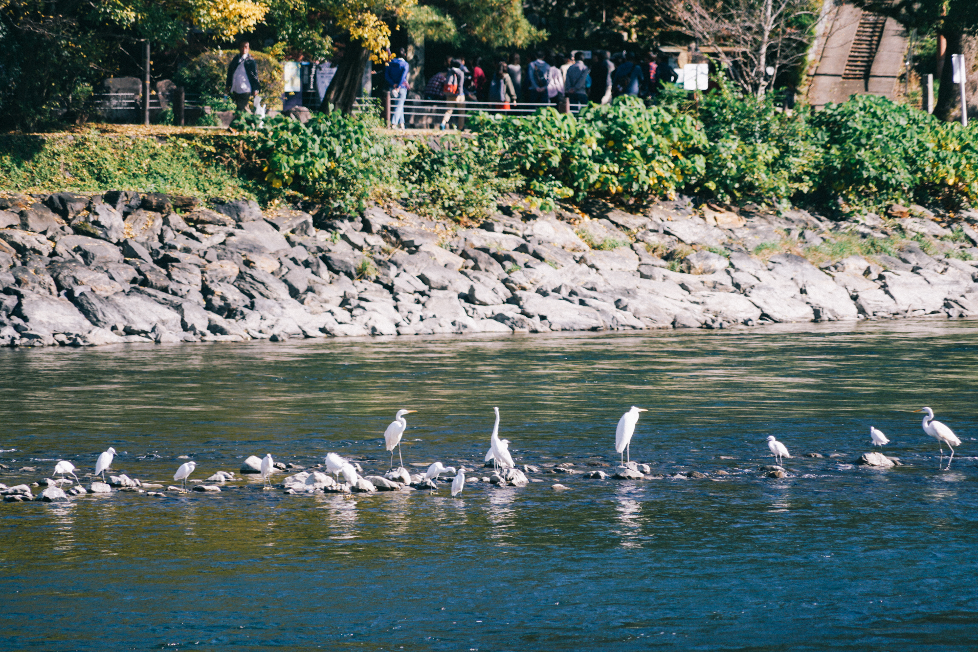 日本京都南禅寺国宝,日本旅游国宝