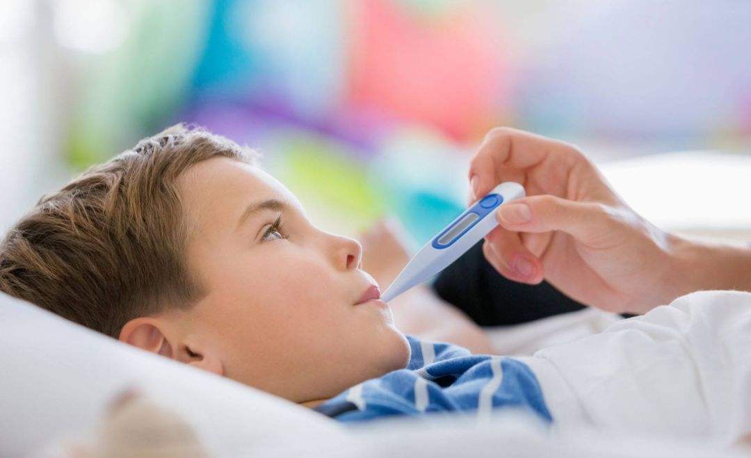 精氨酸琥珀酸合成酶缺乏症,精氨酸酶缺陷