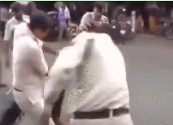 印度阅兵农民,印度阅兵大批农民开拖拉机抗议