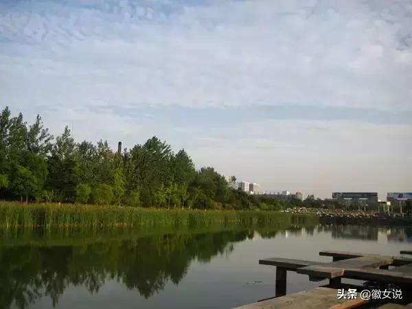 合肥各个区pk郑州,合肥是全国最漂亮的城市吗