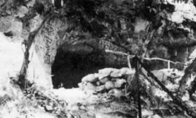 *世友许**之子许光，患癌后向医院提要求：不用进口药，不做过度治疗